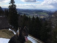 Shani